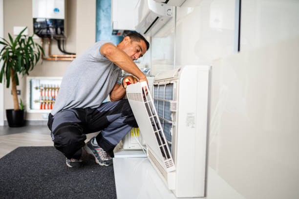 Best HVAC Duct Inspection Services  in Larimore, ND