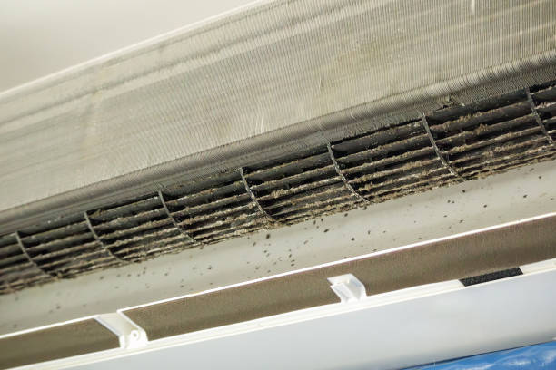 Best Emergency Air Duct Cleaning  in Larimore, ND
